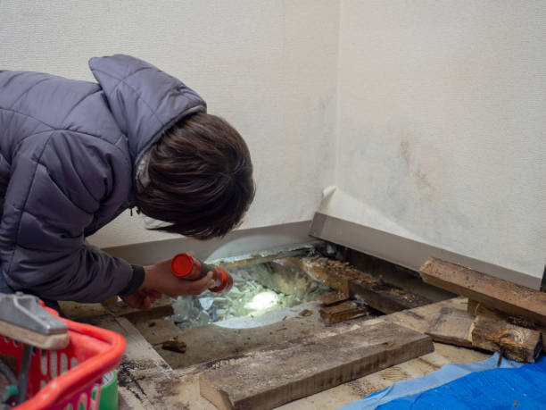 Best Crawl Space Mold Remediation  in Columbus, MS