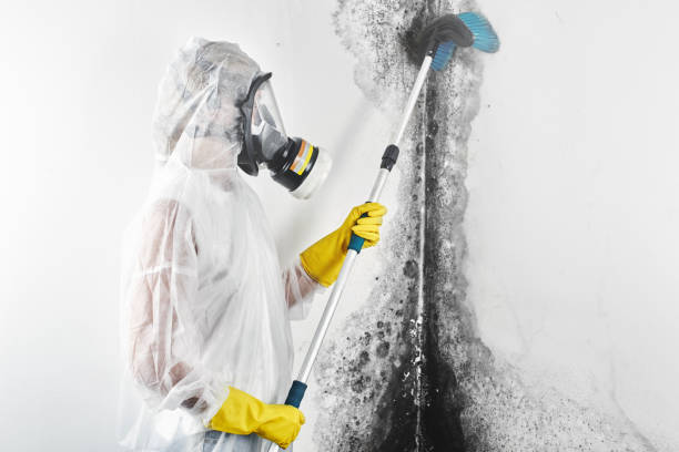 Best Post-Remediation Verification Testing  in Columbus, MS