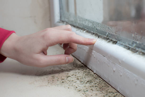 Best Forensic Mold Investigation  in Columbus, MS