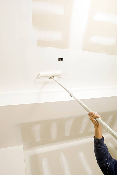 Reliable Columbus, MS Mold Removal Solutions