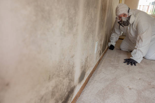 Best Air Quality Testing for Mold Spores  in Columbus, MS