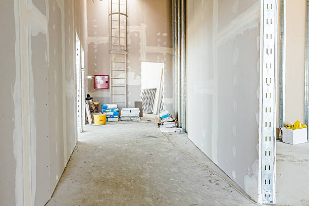 Best Mold Odor Removal Services  in Columbus, MS